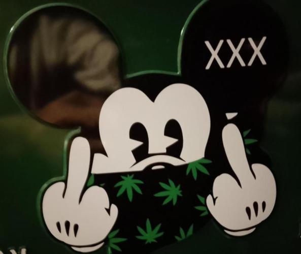 Sticky Berry Mints sensi seeds. Week 7