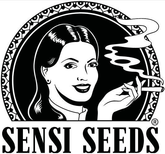 Sticky Berry Mints sensi seeds. Week 11