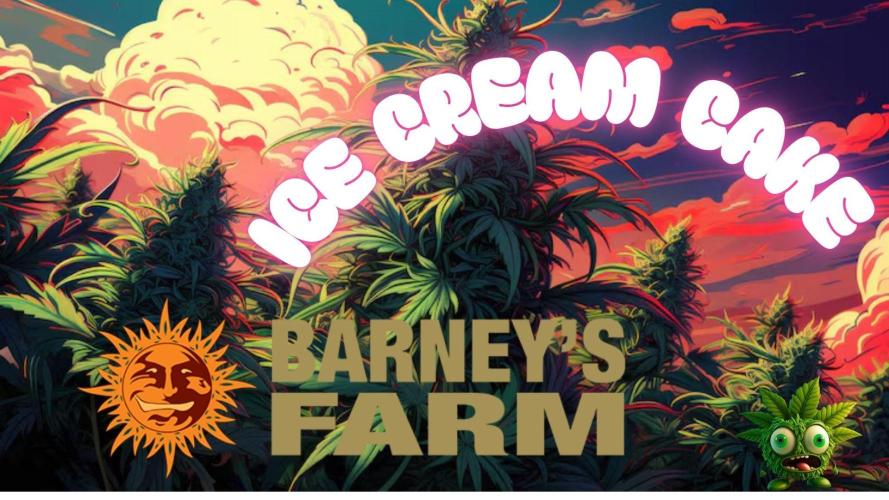 ice Cream Cake Barney 's Farm. Week 0