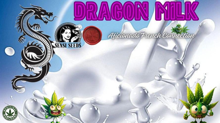 Dragon Milk Aficionado French Connection. Week 3