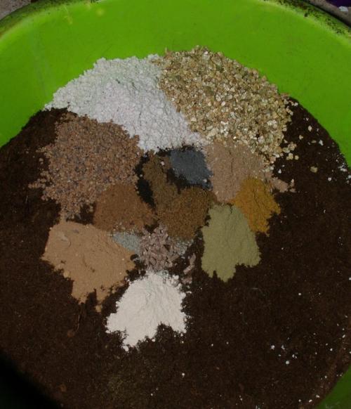 Dragon Milk Aficionado French Connection. Week 4