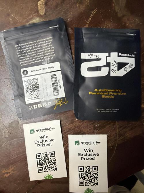 Terp & Circumstance. Week 0 - Official packaging of 420 fast buds was checked and verified official. 