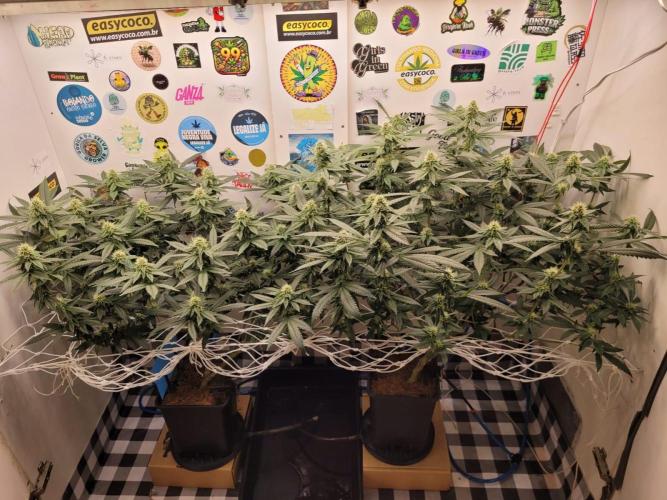 small closet. Week 4