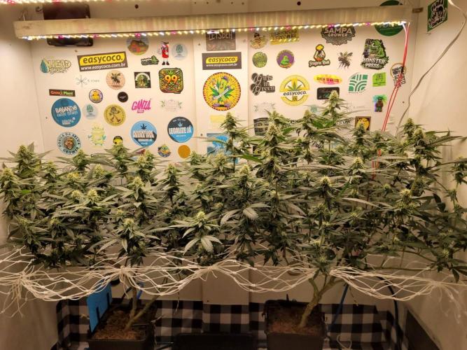 small closet. Week 4