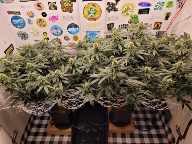 small closet. Week 5