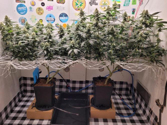 small closet. Week 5