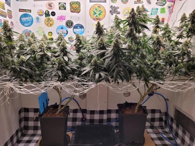 small closet. Week 6