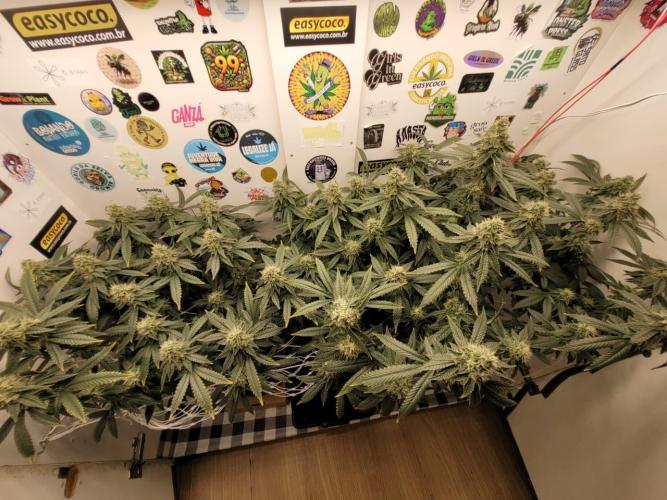 small closet. Week 6