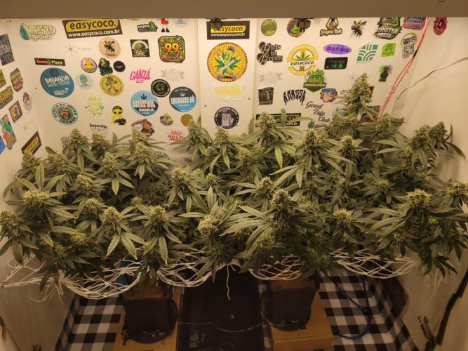 small closet. Week 7