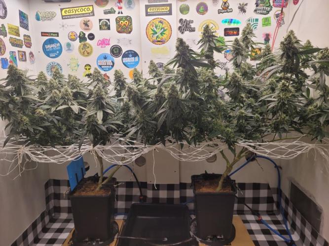 small closet. Week 7