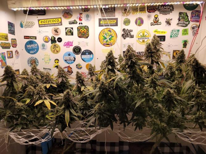 small closet. Week 8