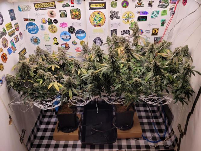 small closet. Week 8