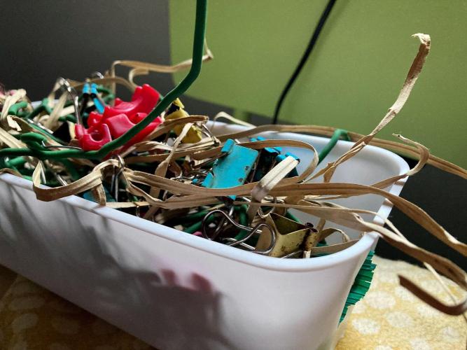 3M 🍏 Green Gelato. Week 11 - Unleashed plant.