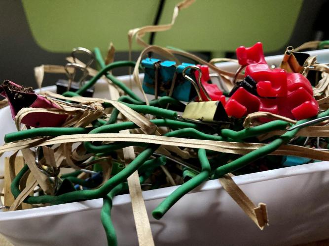 3M ⭕ Panama Red II. Week 11 - Unleashed plant!