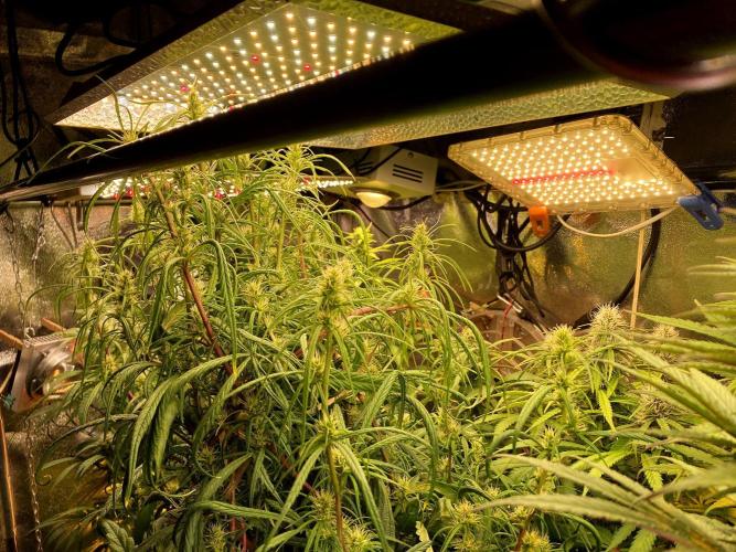 3M 🐵 Congo & x. Week 11 - The sky