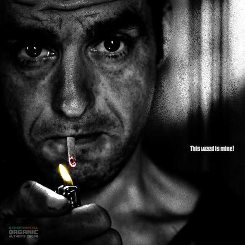 3M 🐵 Congo & x. Week 11