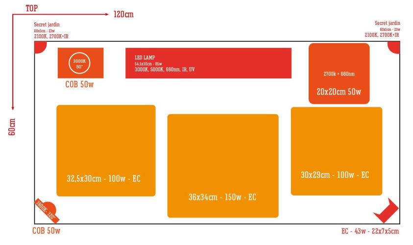 3M 🌟 Bahia Black Head. Week 12 - Light without mercy!