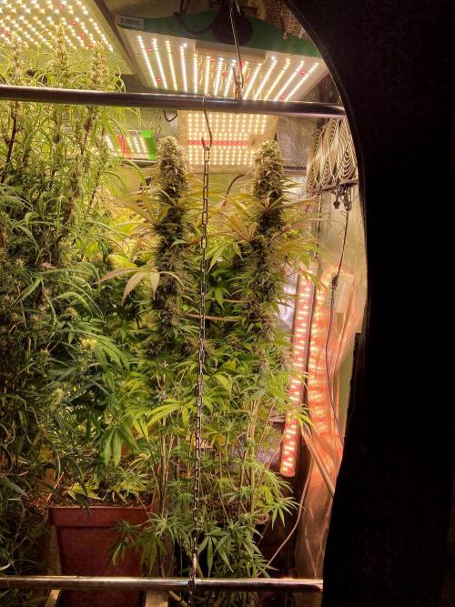 3M 🌟 Bahia Black Head. Week 13 - The corner