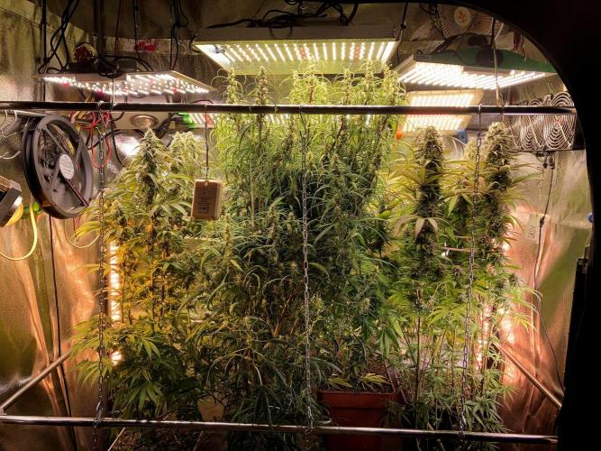 3M 🐵 Congo & x. Week 13 - The home