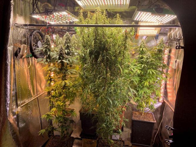 3M 🍏 Green Gelato. Week 14 - The corner