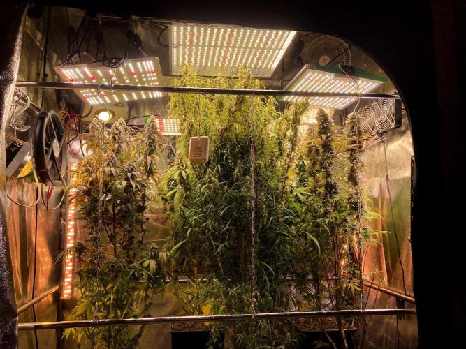 3M ⭕ Panama Red II. Week 15