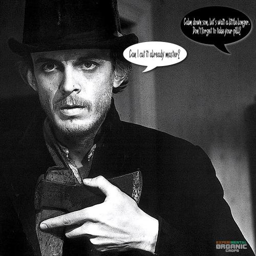 3M 🔥 Txerri Bilbo Haze. Week 16