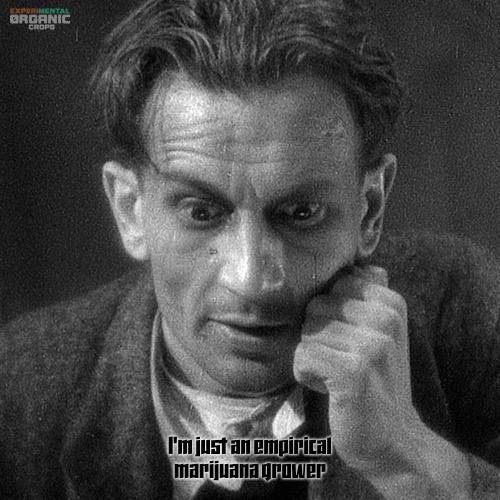 3M 🔻 Mendocino Purple Kush. Week 15