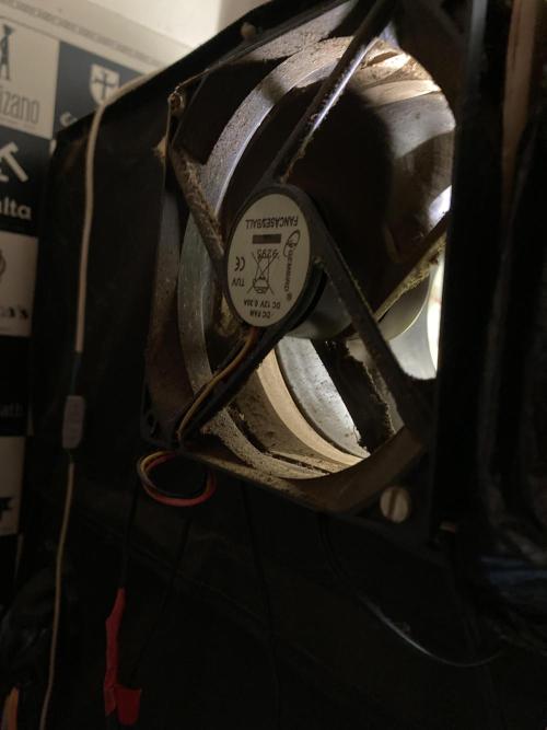 3M 🔥 Txerri Bilbo Haze. Week 18