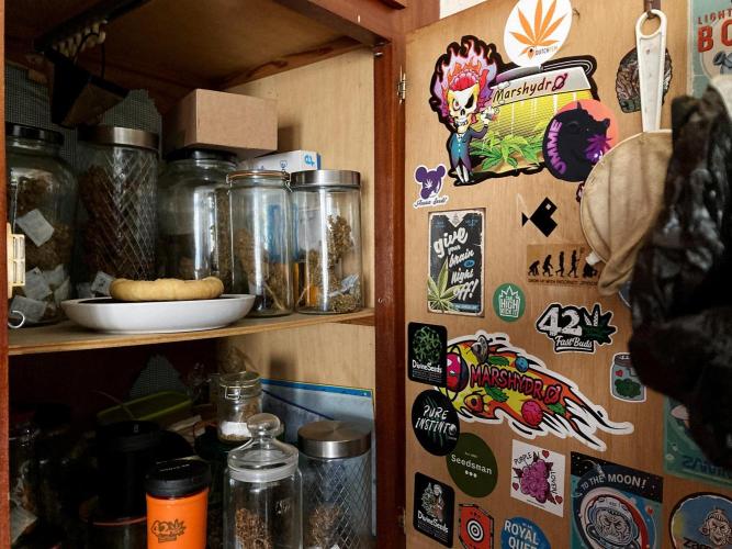 3M 🔥 Txerri Bilbo Haze. Week 18