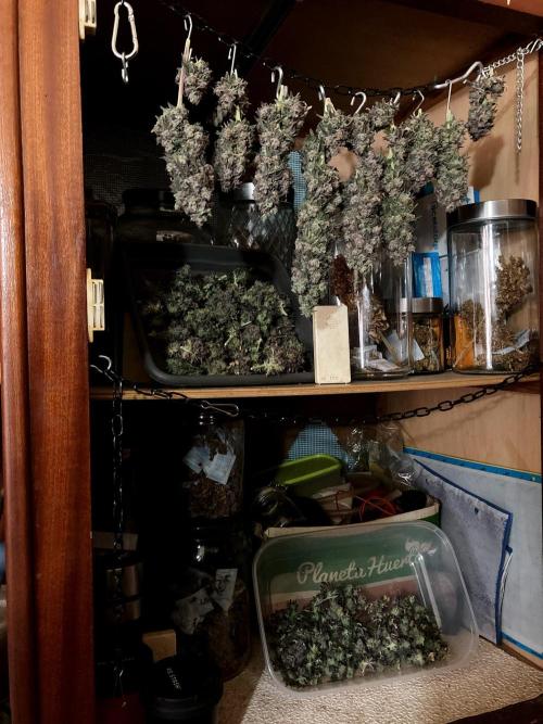 3M 🍋 Black Lemon. Week 20