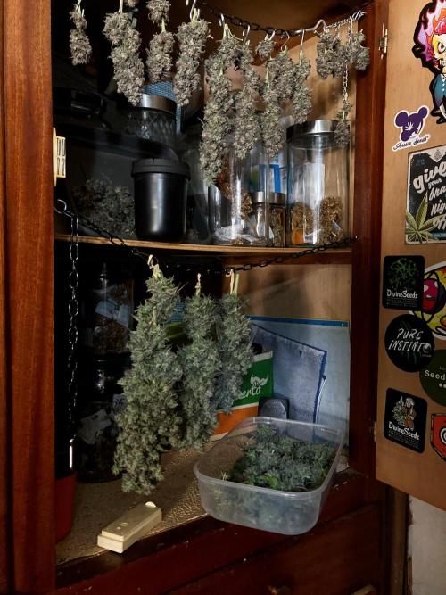 3M 🍨 Green Gelato. Week 20