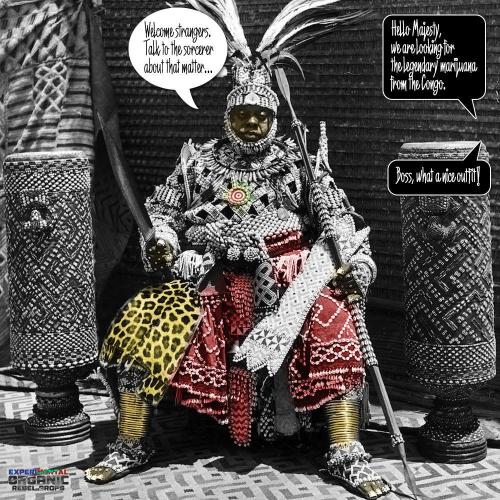 3M 🐵 Congo & x. Week 20