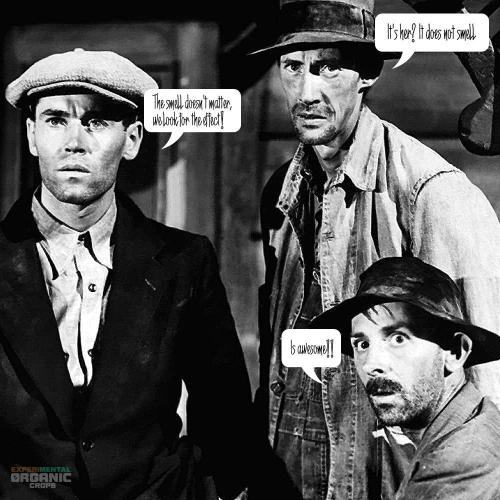 3M ⭕ Panama Red II. Week 22