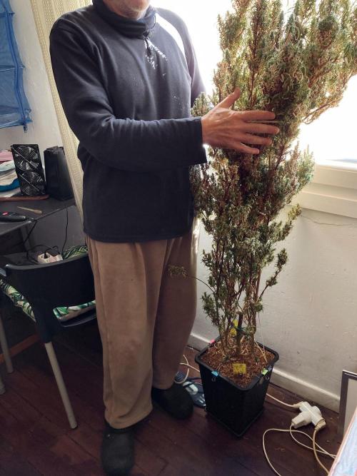 3M 🐵 Congo & x. Week 24