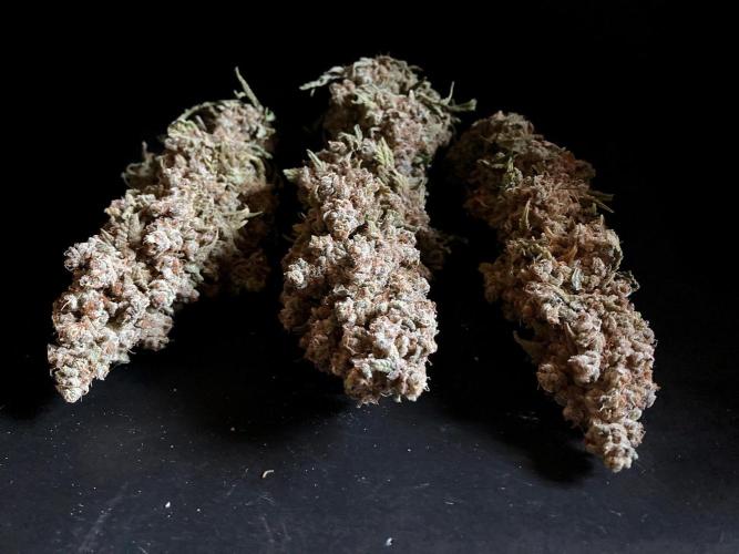 3M ⭕ Panama Red II. Week 22