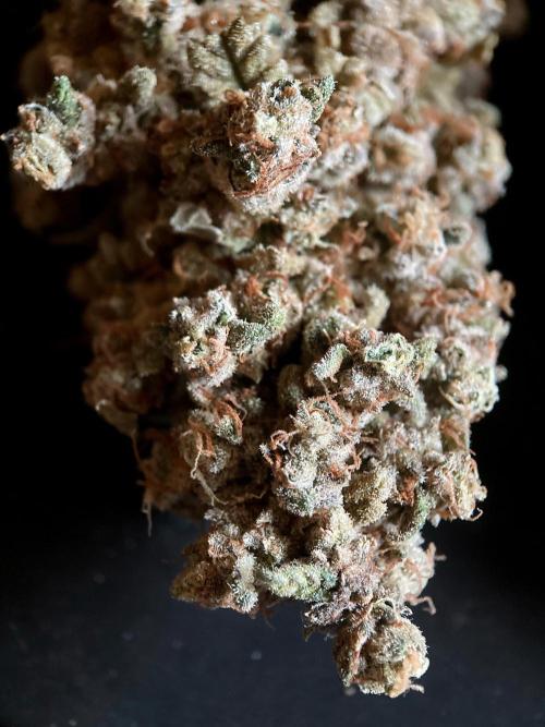 3M ⭕ Panama Red II. Week 22