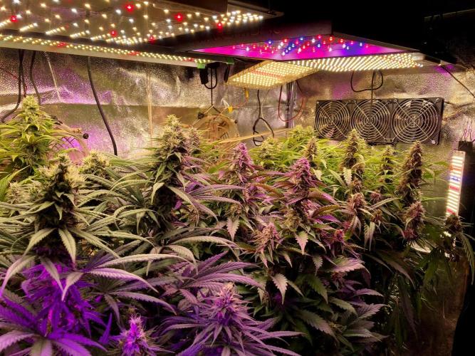 3M 🍁 NL x Thai. Week 12 - Sky