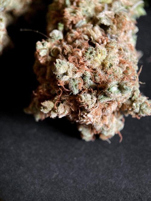 3M 🔺 Tutankhamon. Week 21