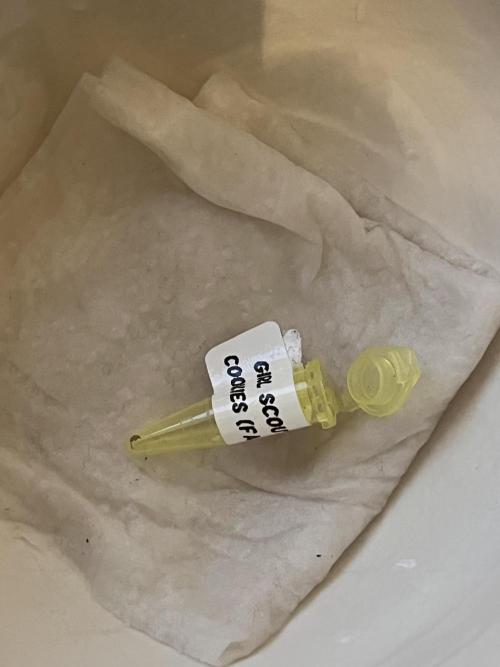 Girl Scout Cookie. Week 0