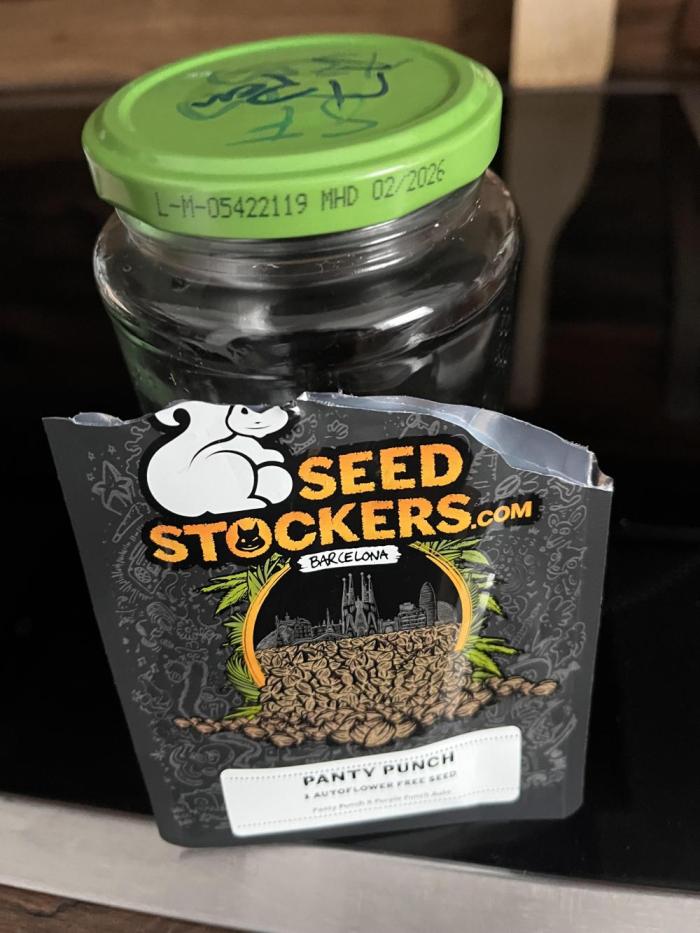 Panty Punch Auto. Week 0