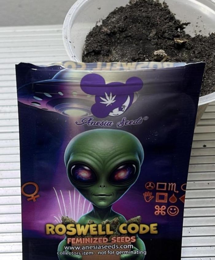 Roswell Code. Week 0