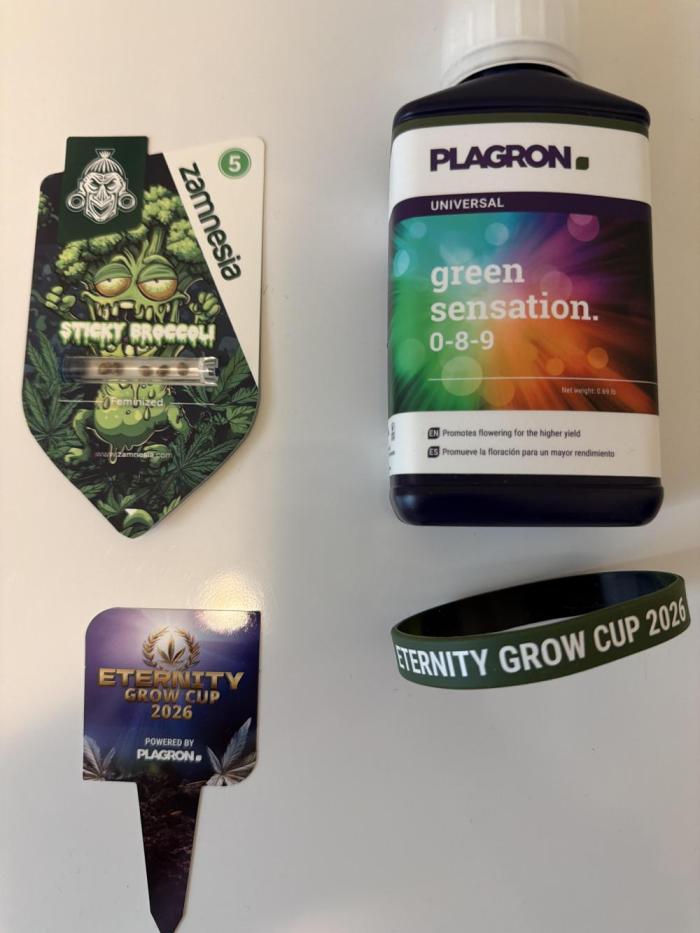Zamnesia Grow Cup 2026 Sticky Broccoli. Week 0 - COMING SOON!!!!!