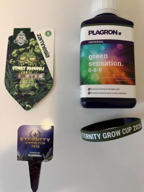 Zamnesia Grow Cup 2026 Sticky Broccoli. Week 0 - COMING SOON!!!!!