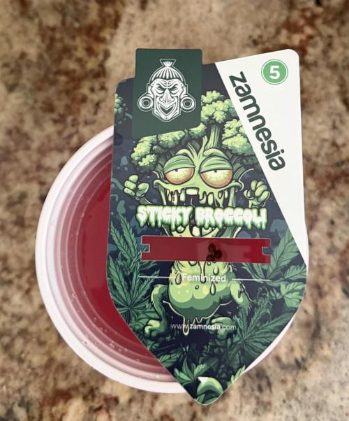 Zamnesia Grow Cup 2026 Sticky Broccoli. Week 0 - Alright! I just popped 3/5 seeds! Now off to the races!