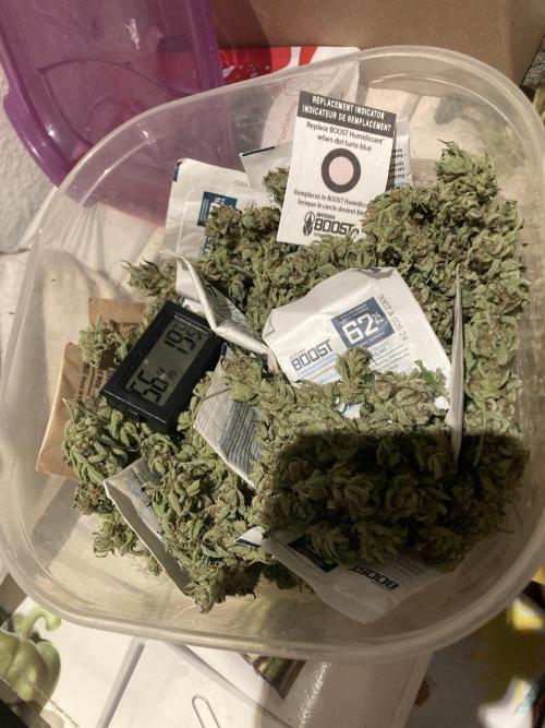 Cap Junky von Hanfgartenshop. Week 19