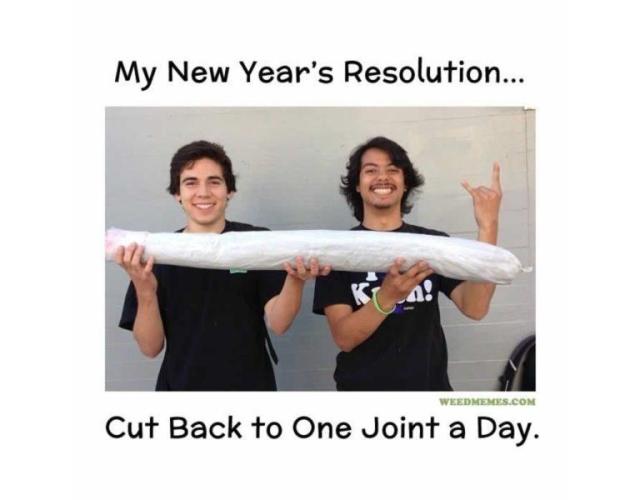 Winterexperiment ❄️☃️🔬🤓. Week 4