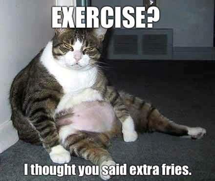 Winterexperiment ❄️☃️🔬🤓. Week 5