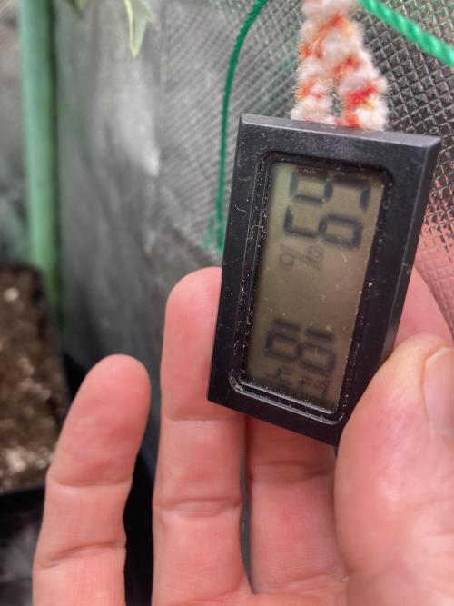 Winterexperiment ❄️☃️🔬🤓. Week 5