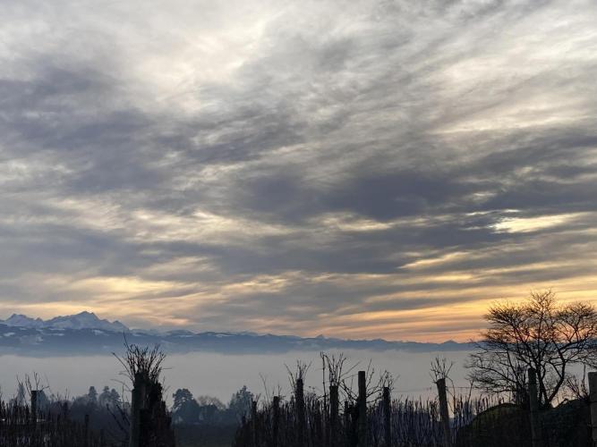 Winterexperiment ❄️☃️🔬🤓. Week 6