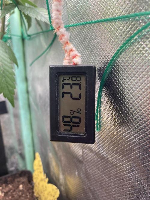 Winterexperiment ❄️☃️🔬🤓. Week 12
